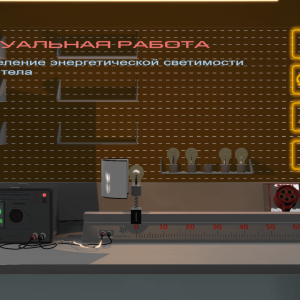 Виртуальная работа «Определение энергетической светимости серого тела»